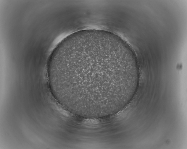 X0000093531215200710261244