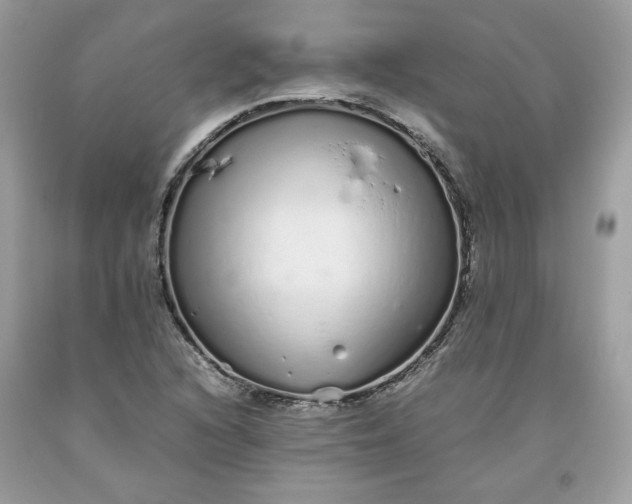 X0000093531216200710261244