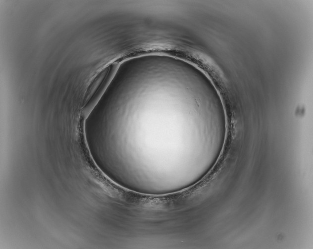 X0000093531217200710261244