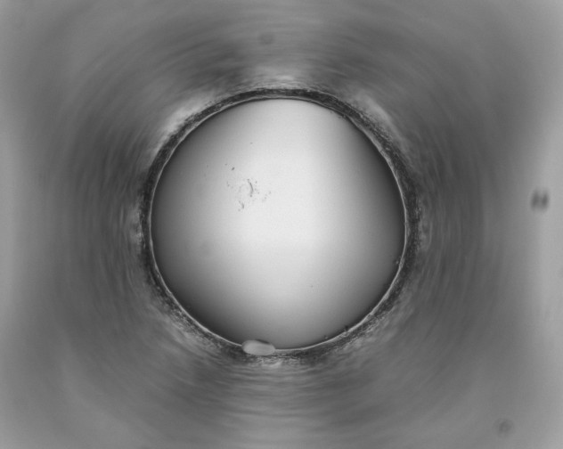 X0000093531218200710261244