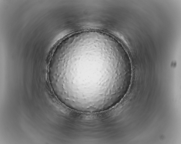 X0000093531219200710261244