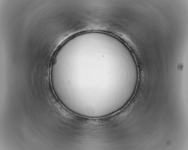 X0000093531220200710261244