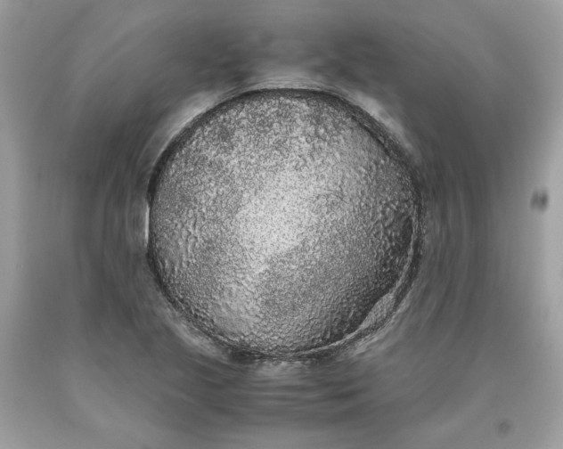 X0000093531221200710261244