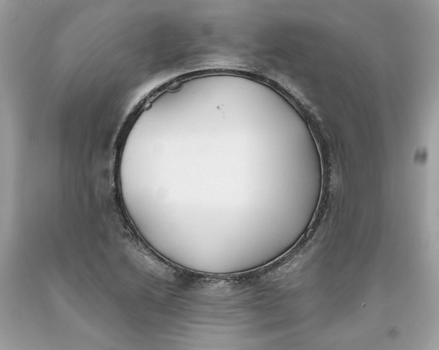 X0000093531222200710261244