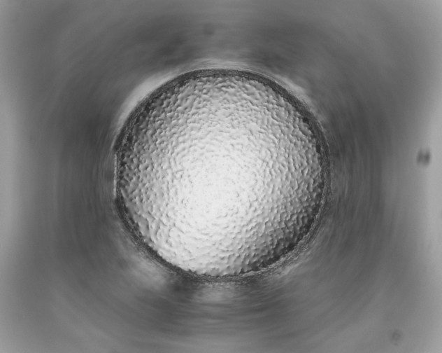 X0000093531223200710261244