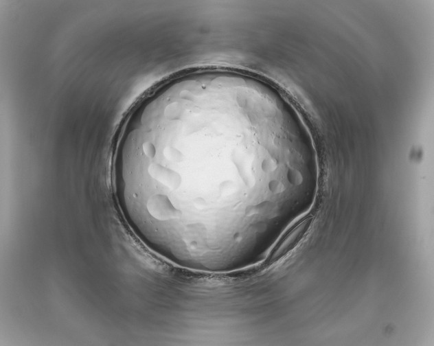 X0000093531224200710261244