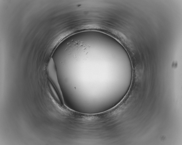 X0000093531225200710261244