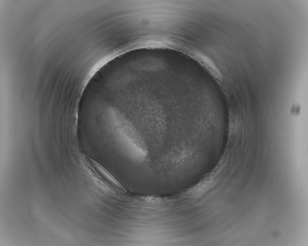 X0000093531226200710261244