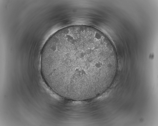 X0000093531227200710261244