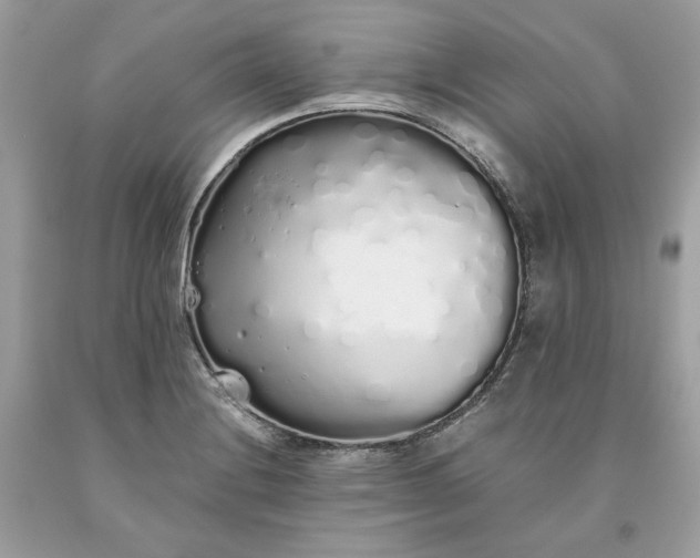 X0000093531228200710261244