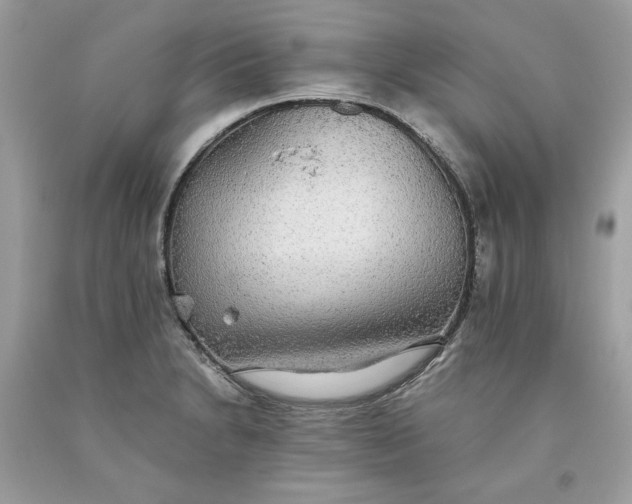 X0000093531230200710261244