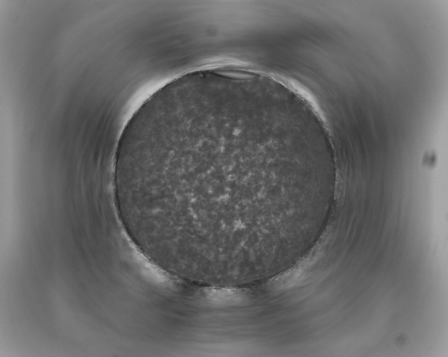 X0000093531231200710261244