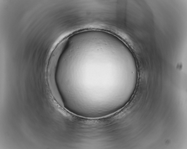 X0000093531232200710261244