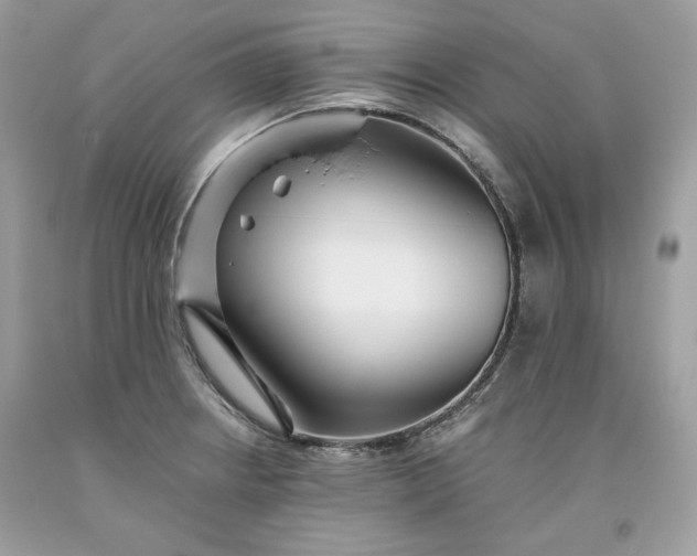 X0000093531234200710261244