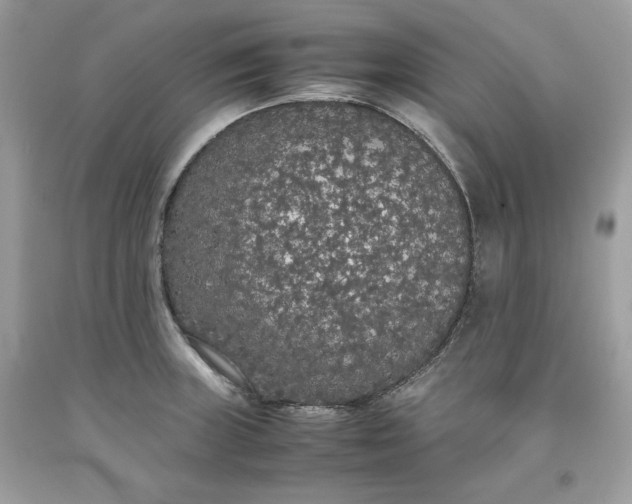 X0000093531235200710261244