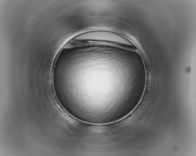 X0000093531236200710261244