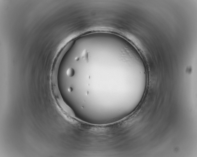 X0000093531237200710261244