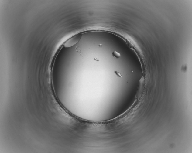 X0000093531238200710261244