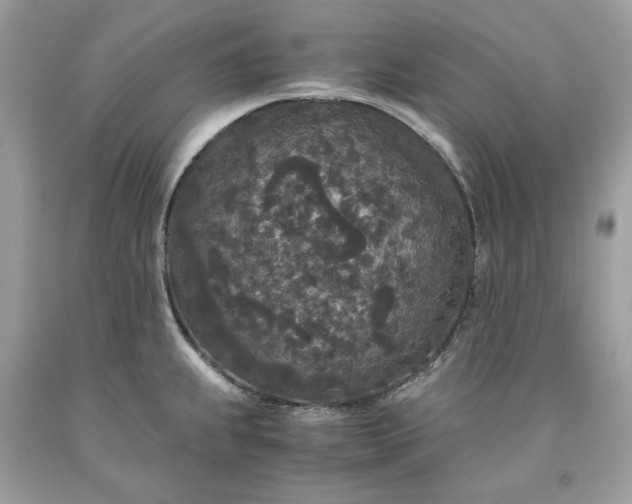 X0000093531239200710261244