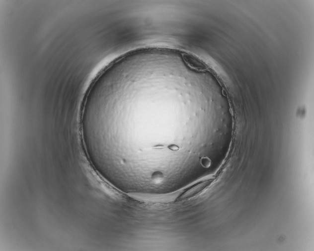 X0000093531240200710261244