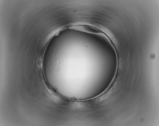 X0000093531241200710261244