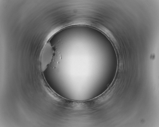 X0000093531242200710261244