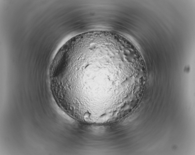 X0000093531243200710261244