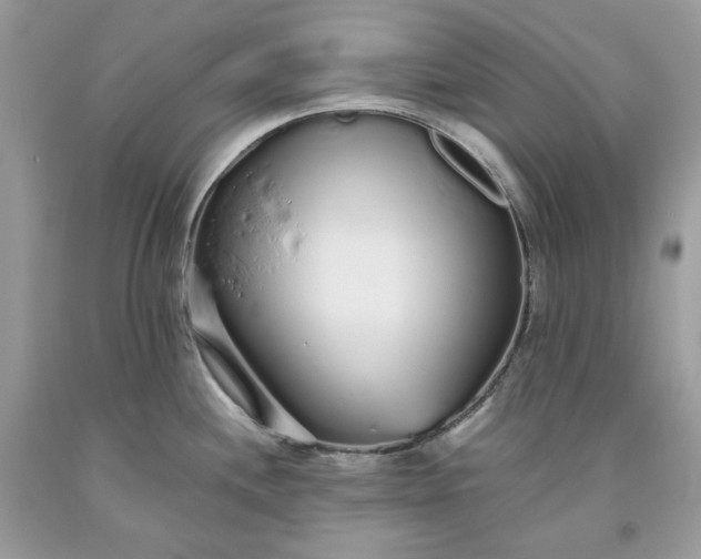 X0000093531244200710261244