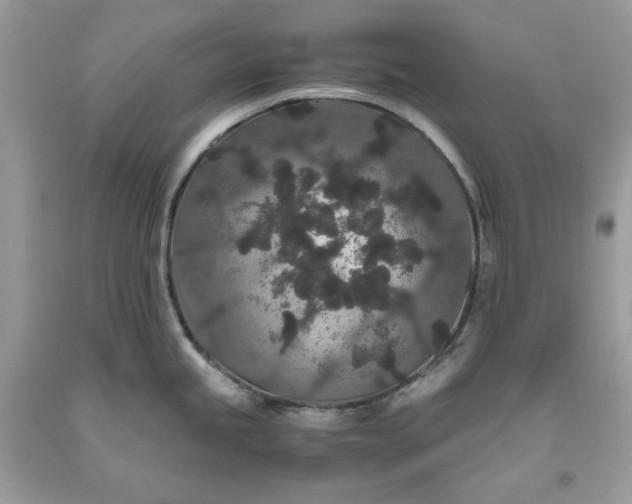 X0000093531245200710261244