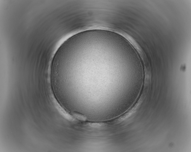 X0000093531246200710261244