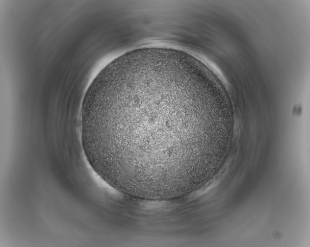 X0000093531247200710261244