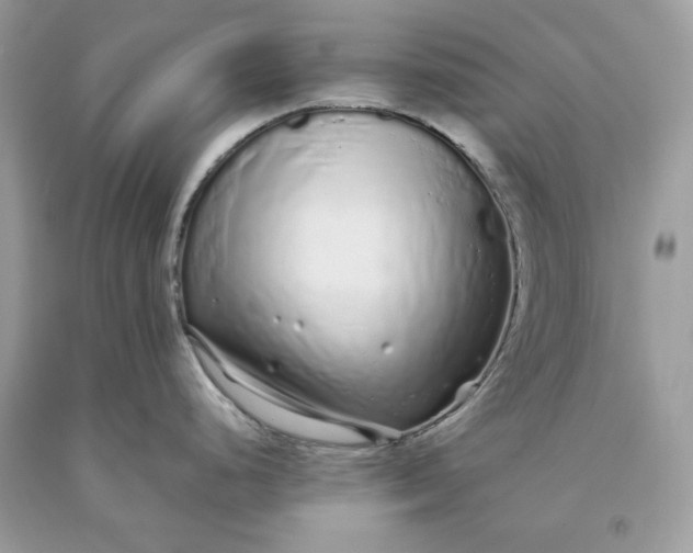 X0000093531248200710261244