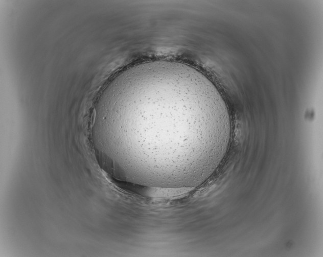 X0000093531249200710261244