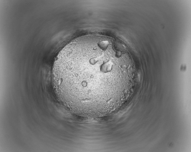 X0000093531251200710261243