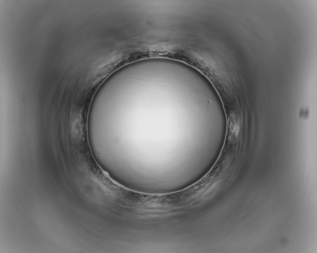 X0000093531252200710261243