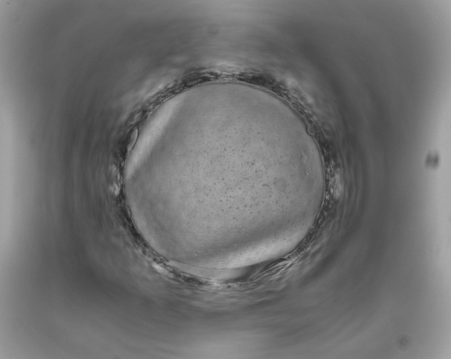 X0000093531253200710261243