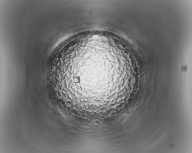 X0000093531255200710261243