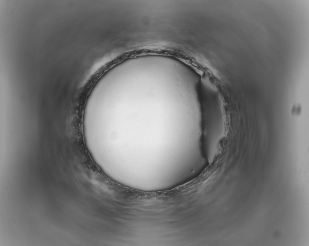 X0000093531256200710261243