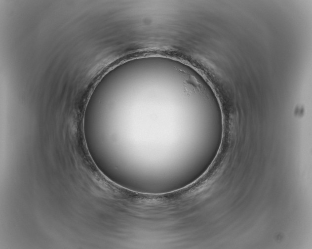 X0000093531257200710261243