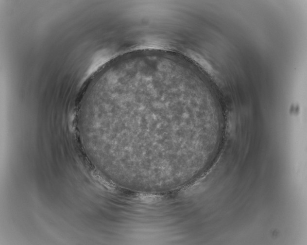 X0000093531258200710261243