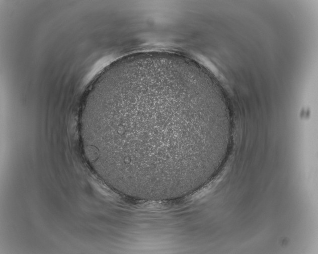 X0000093531259200710261243