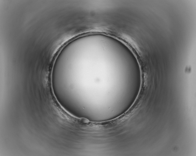 X0000093531260200710261243