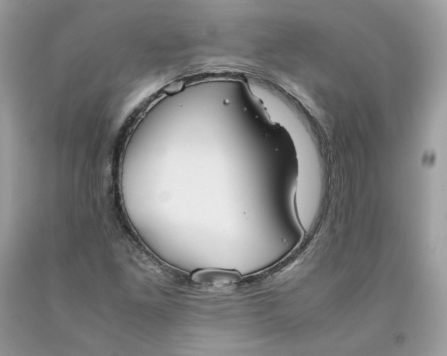 X0000093531261200710261243