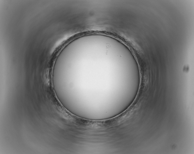 X0000093531262200710261243