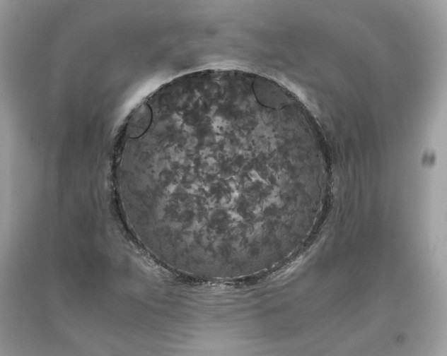 X0000093531263200710261243