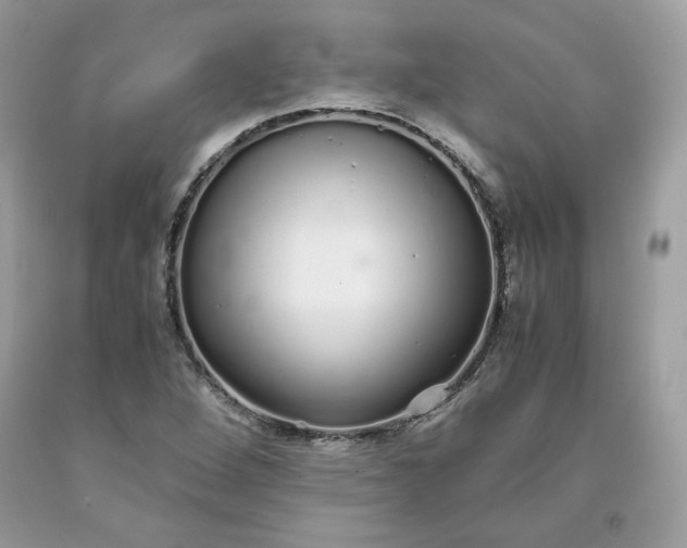 X0000093531264200710261243