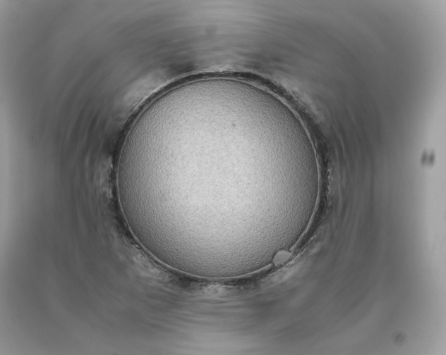 X0000093531265200710261243