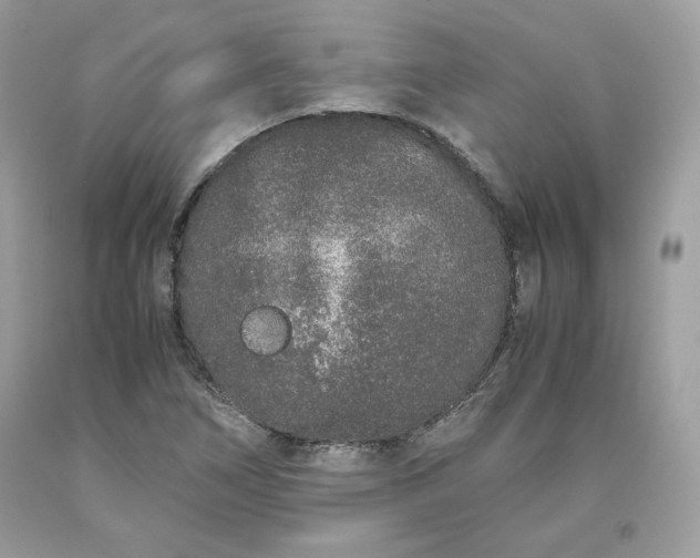 X0000093531266200710261243