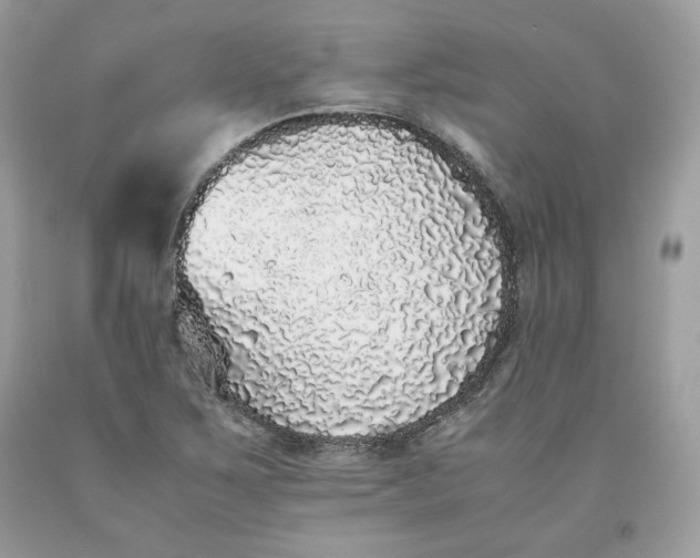 X0000093531267200710261243