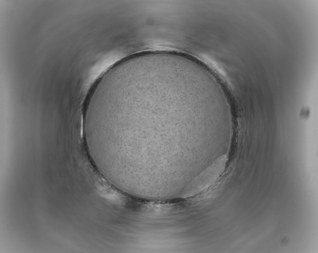 X0000093531269200710261243